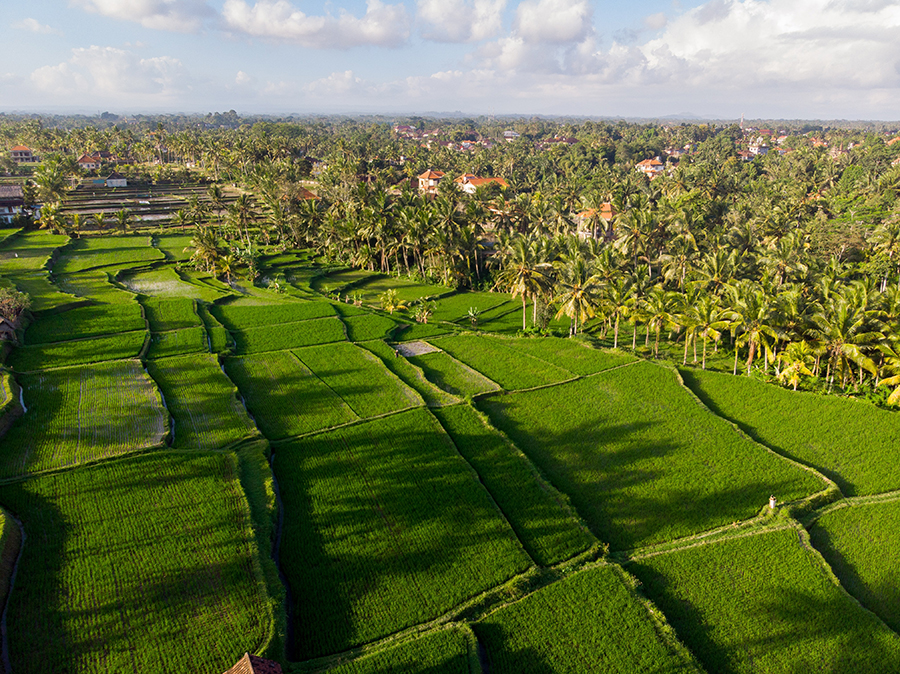 Bali real estate oversupply