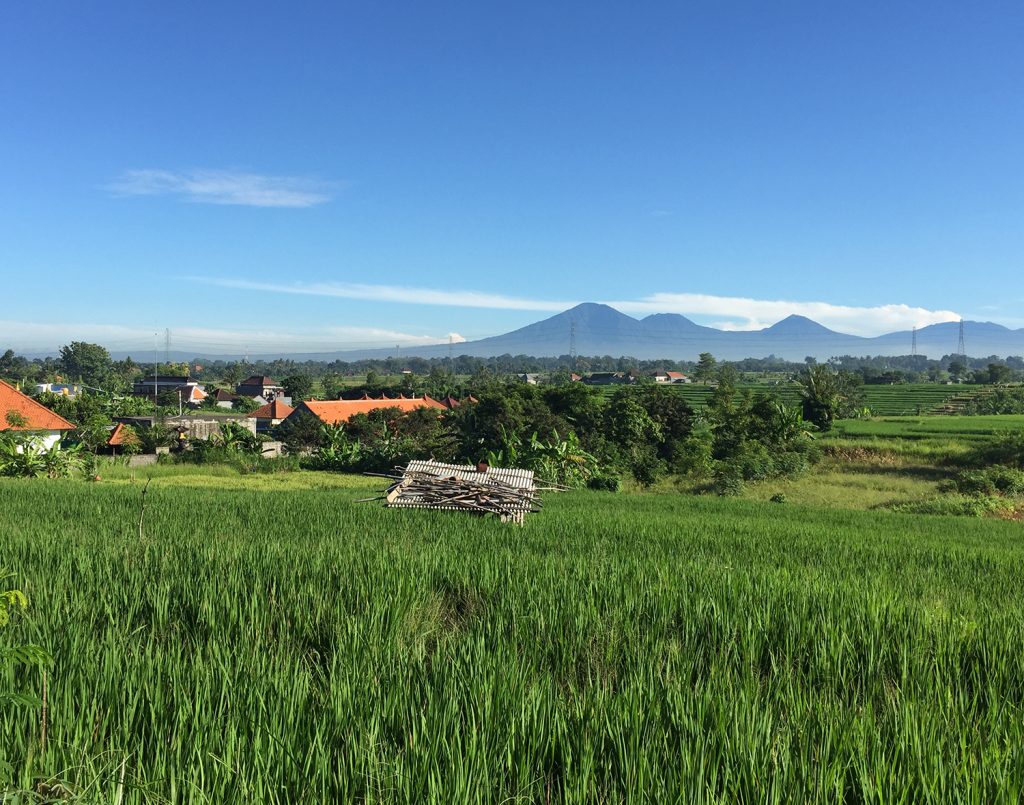 Mornings in Canggu - Image by Andy Barski