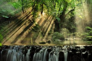 Is 2020 Bali's Time For Green Investments?