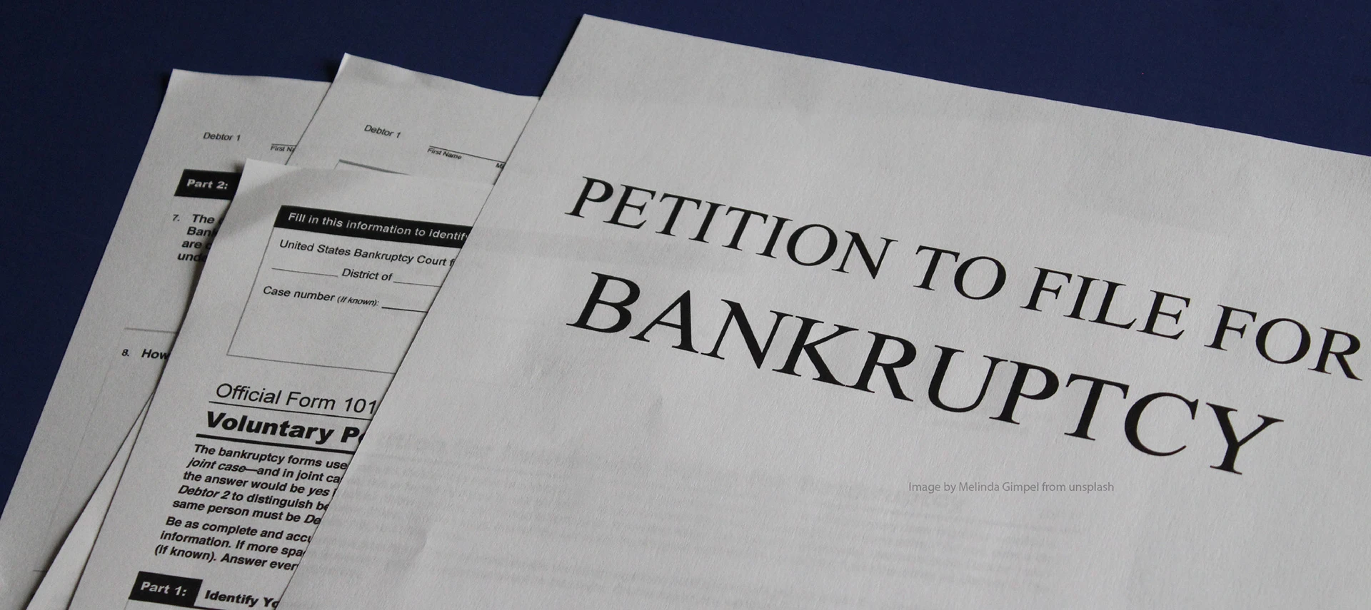 Document title. Petition PNG. Bankruptcy of us Banks.