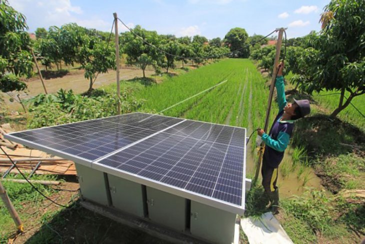 A farmer using Solar panels signifies MSMEs' renewable energy transition movement.