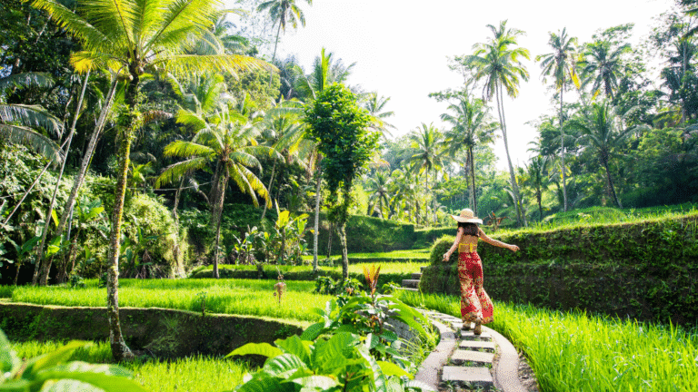 Young woman living in Bali as an American on a green cascade ricefield plantation, Tegallalang Rice Terrace in Ubud.