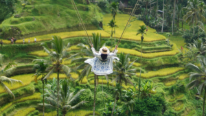 A traveler swings above Bali’s lush rice terraces, capturing the scenery that illustrates why Bali is so cheap for visitors seeking nature, culture, and affordability.