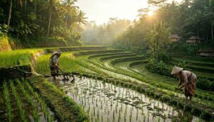 Bali Indonesia